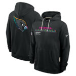 Arizona Cardinals Black 2025 Crucial Catch Sideline Standard Issue Hoodie