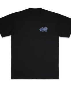 2025 Indianapolis Colts Born x Raised Black Pro Script T-Shirt