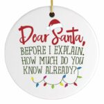 FunnyDearSantaQuoteChristmasOrnamentChristmasTreewithRedOrnamentsMockup.jpg