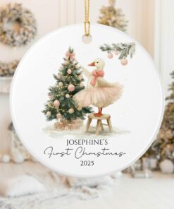 Baby First Christmas Ornament 2025, Personalized Silly Goose First Christmas Ornament Baby Girl Name, Baby Shower Gift, Baby Family Keepsake
