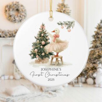 Baby First Christmas Ornament 2025, Personalized Silly Goose First Christmas Ornament Baby Girl Name, Baby Shower Gift, Baby Family Keepsake