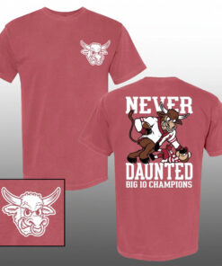 2025 Indiana Hoosiers Never Daunted Big 10 Champions T-Shirt