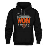 Chicago Bears 2025 NFC North Division Champions Shirt