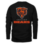 Chicago Bears 2025 NFC North Division Champions Shirt