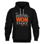 Chicago Bears NFC North Champions 2025 T-Shirt and Hoodie