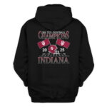 Indiana Hoosiers Black 2025 Big Ten Football Champions Flags T-Shirt