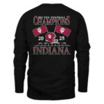 Indiana Hoosiers Black 2025 Big Ten Football Champions Flags T-Shirt