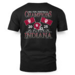 Indiana Hoosiers Black 2025 Big Ten Football Champions Flags T-Shirt