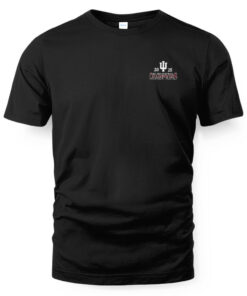 Indiana Hoosiers Black 2025 Big Ten Football Champions Flags T-Shirt