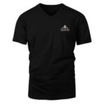 Indiana Hoosiers Black 2025 Big Ten Football Champions Flags T-Shirt