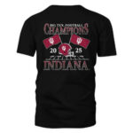 Indiana Hoosiers Black 2025 Big Ten Football Champions Flags T-Shirt