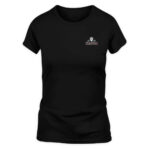 Indiana Hoosiers Black 2025 Big Ten Football Champions Flags T-Shirt