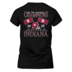 Indiana Hoosiers Black 2025 Big Ten Football Champions Flags T-Shirt