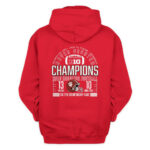 Indiana Hoosiers Crimson 2025 Big Ten Football Champions Score T-Shirt