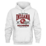 Indiana Hoosiers Homefield 2025 Big Ten Football Champions T-shirtt