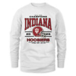 Indiana Hoosiers Homefield 2025 Big Ten Football Champions T-shirtt