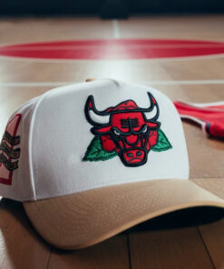 Chicago Bulls Derrick Rose Hat