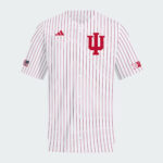 Indiana Pinstripe Full Button Baseball Jersey 1 Indiana Pinstripe Full Button Baseball Jersey