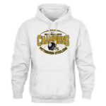 Pittsburgh Steelers 2025 Football League AFC North Champions Shirt