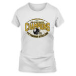 Pittsburgh Steelers 2025 Football League AFC North Champions Shirt