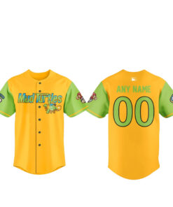 Custom Name and Number Altoona Mud Turtles 2026 Baseball Jersey
