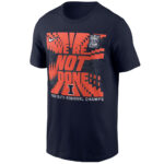 Illinois-Basketball-Final-Four-Regional-Champions-On-Court-Were-Not-Done-T-Shirt.jpg