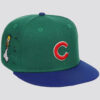 Chicago Cubs The Simpsons Homer Bush Snapback Cap 2026