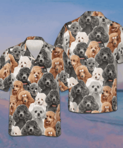 Poodles In Different Colors Hawaiian Shirt Men's Beach Button Up Gifts For Dog Owners