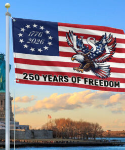 Bald Eagle America 250th Anniversary Flag Best Gifts On Independence Day Patriotic Decor