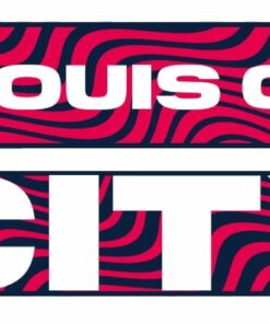 St. Louis City Street Graphic Scarf - Fan Winter Accessory