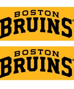 National Hockey League Boston Bruins Alt Graphic Scarf - Hockey Fan Winter Accessory