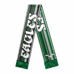 Unisex Philadelphia Eagles Retro Hyper Stripe Big Logo Graphic Scarf for Sports Fans