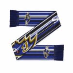 Unisex Baltimore Ravens Hyper Stripe Big Logo Graphic Scarf for Sports Fans