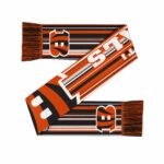 Unisex Cincinnati Bengals Hyper Stripe Big Logo Graphic Scarf for Sports Fans