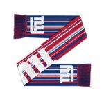 FOCO-HYPSTBLS_media_NewYorkGiants.jpg
