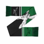 Unisex Philadelphia Eagles 2026 Colorblock Cropped Big Logo Graphic Scarf for Sports Fans