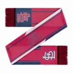 Unisex St. Louis Cardinals Colorwave Wordmark Graphic Scarf for Sports Fans