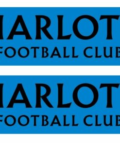 Charlotte FC Primary Graphic Scarf - Soccer Fan Winter Accessory