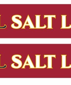 Real Salt Lake Primary Graphic Scarf - Fan Winter Accessory