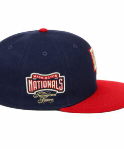 Washington Nationals Retro Classic 2.0 The Centennial Classic Hat