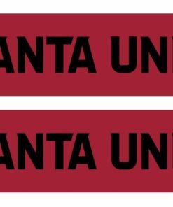 Atlanta United Primary Graphic Scarf - Soccer Fan Winter Accessory