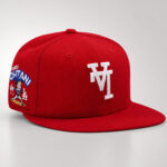 Los Angeles Dodgers Upside-Down Shohei Ohtani Graphic Hat for Baseball Fans