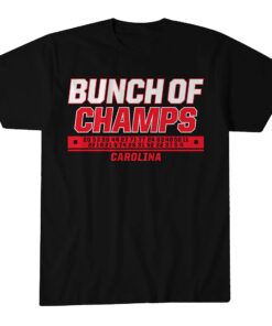Unisex Carolina Hurricanes Hockey Bunch of Champs Graphic Shirt for Hockey Fans