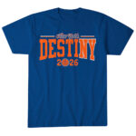 Unisex-New-York-Knicks-Destiny-2026-Graphic-Shirt-for-Basketball-Fans.jpg