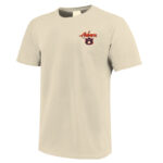 Unisex Auburn Tigers Welcome to The Loveiest Village Of The Plain Graphic Shirt for College Sports Fans