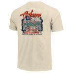 Unisex Auburn Tigers Welcome to The Loveiest Village Of The Plain Graphic Shirt for College Sports Fans