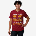 Dear Santa All I Want Is For The Cardinals To Win The Super Bowl 2026 Shirt