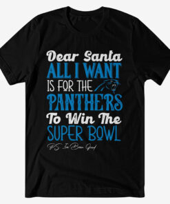 Dear Santa All I Want Is For The Panthers To Win The Super Bowl 2026 Shirt