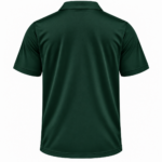 Green-Bay-Packers-Classic-Team-Stripe-White-Dark-Green-Gold-Polo-Shirt-for-Football-Fans.png